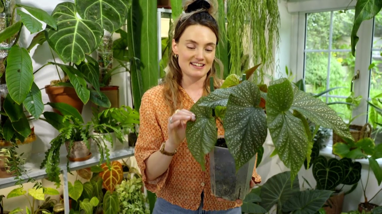 Alan Titchmarsh's Gardening Club &ndash; Claire Lowrie &ndash; Summer houseplants