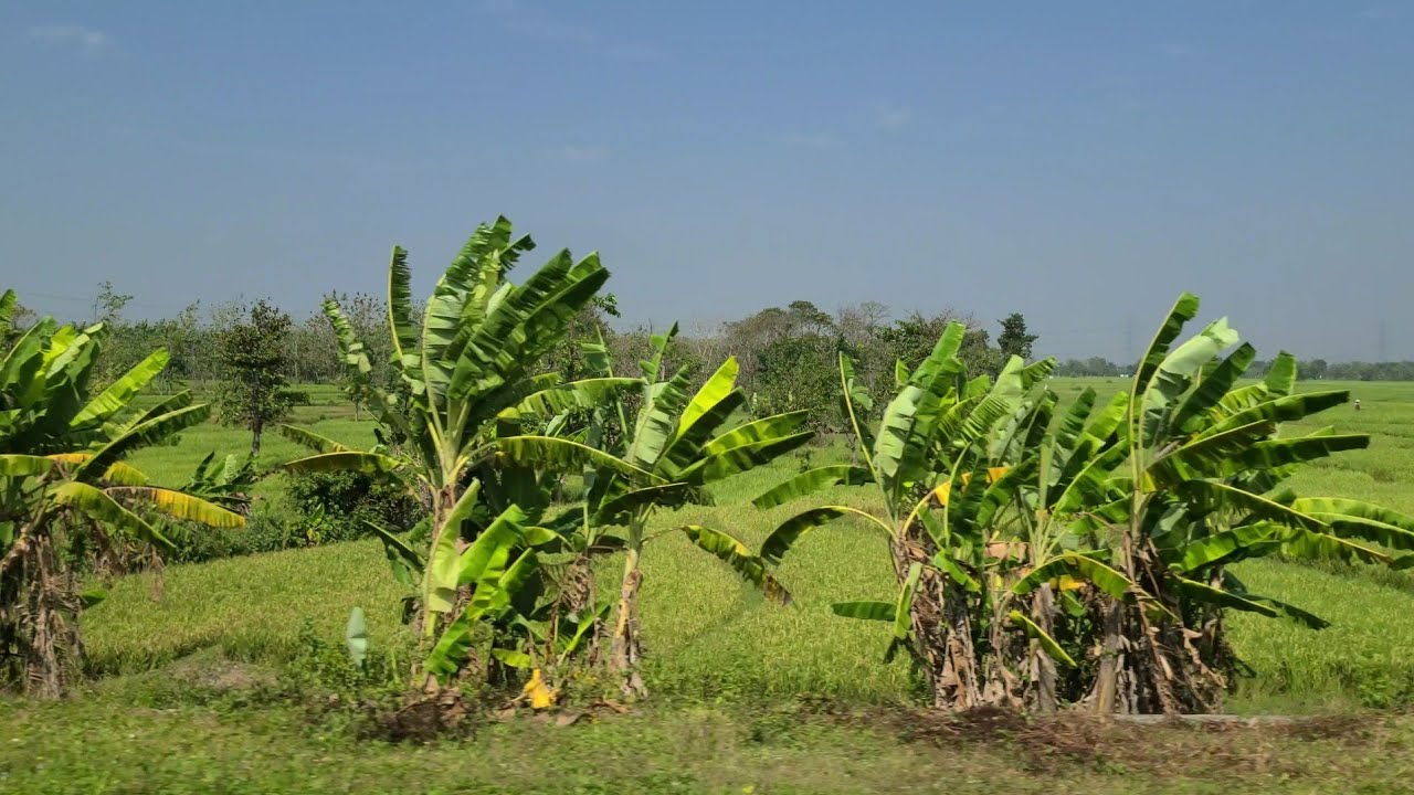 Java Indonesia 2023 - Train from Surabaya to Yogyakarta
