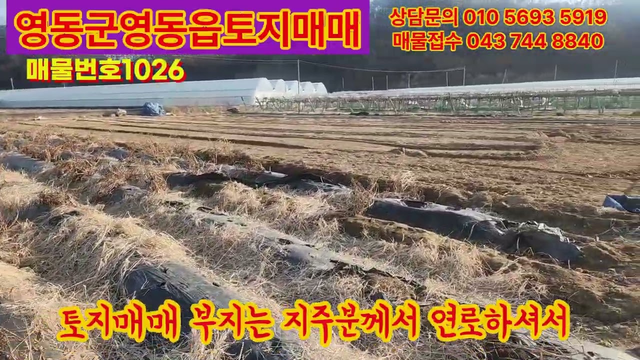 영동군전원주택매매, 영동군토지매매,영동군임야매매,영동군단독주택매매,영동군시골집매매,보은토지매매,옥천토지매매,급매물