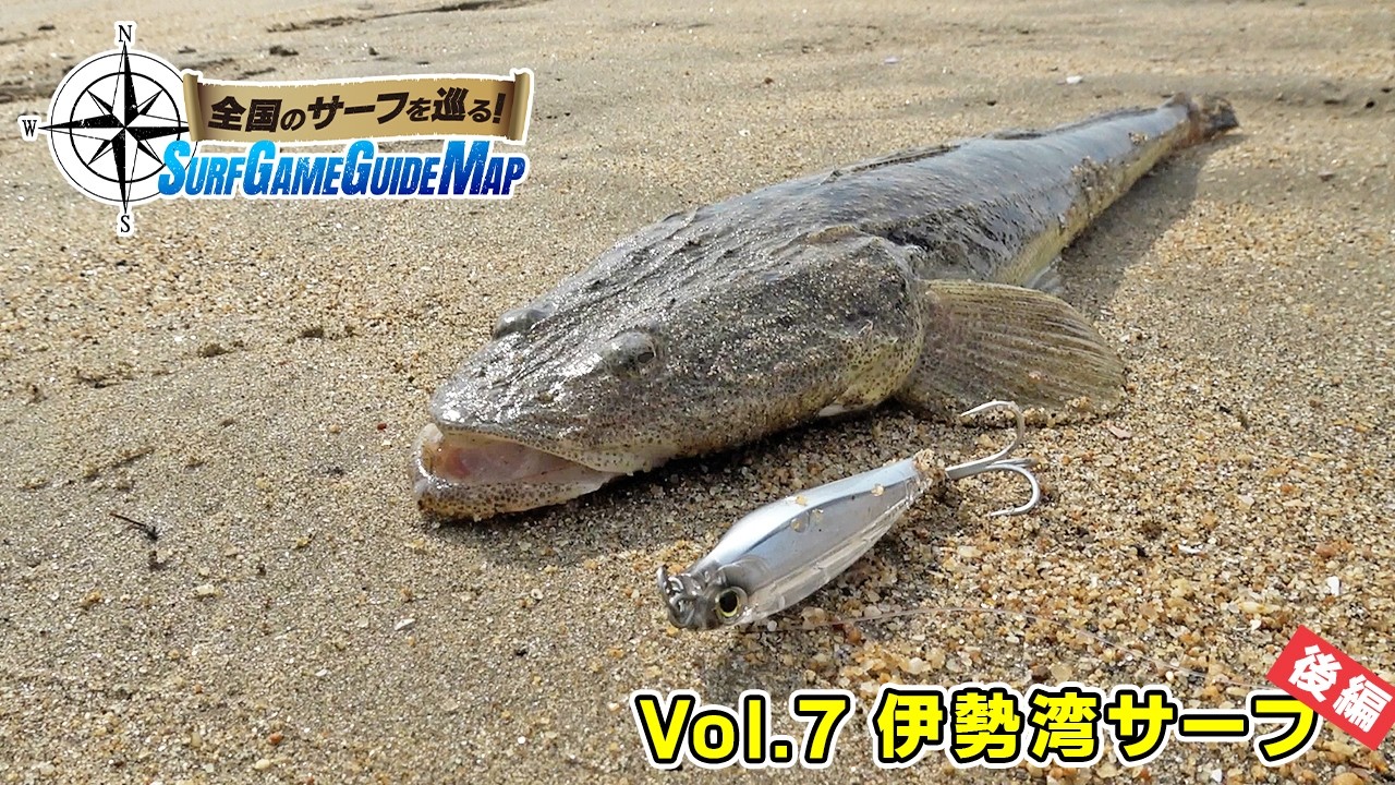“威嚇”カラーで爆釣！モンスターショット65で真夏のマゴチ祭り!!(後編) in 伊勢湾サーフ｜全国のサーフを巡る！SURF GAME GUIDE MAP Vol.7(1467)