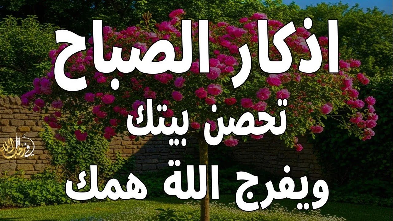 اذكار الصباح بصوت يريح قلبك راحه نفسيه💚حصن نفسك وبيتك من الشيطان علاء عقل Morning adhkar
