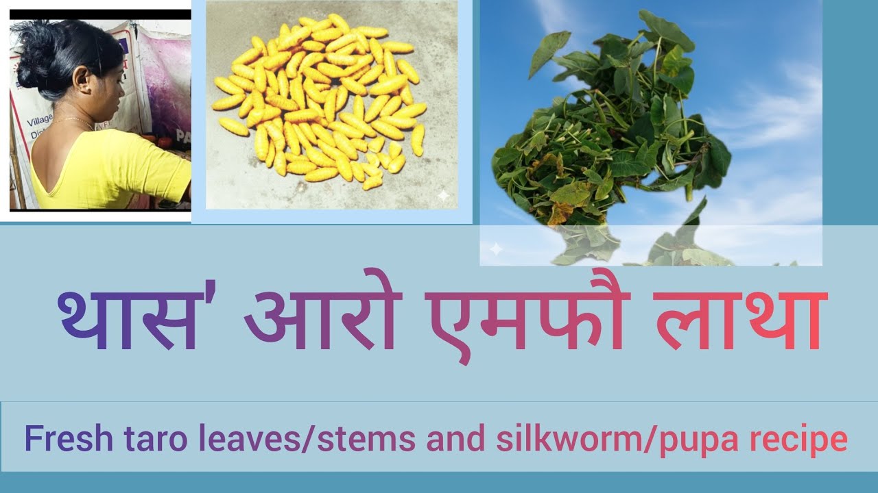 Taro leaves/stems and silkworm/ pupae recipe 