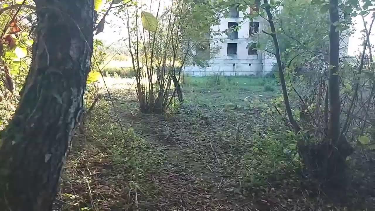 Рифыч и Абхазия прямой эфир Приморское море после шторма