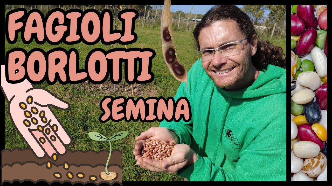 Come e Quando SEMINARE i FAGIOLI nell'ORTO: guida pratica