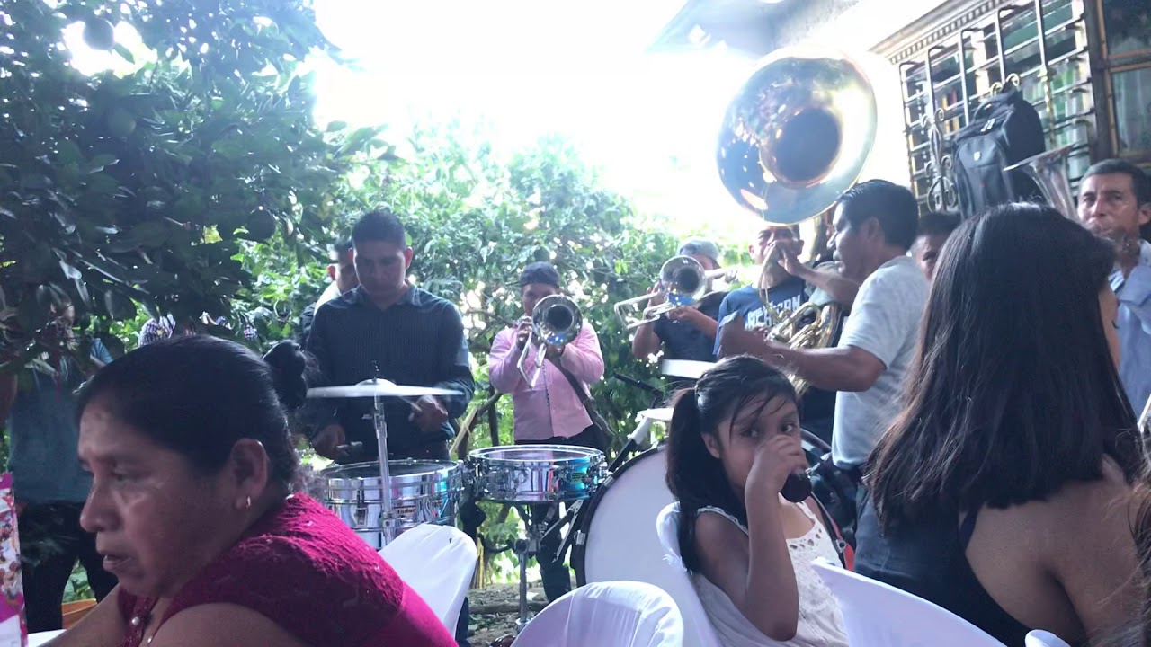 La Original Banda Los Girasoles-Niña Enamorada