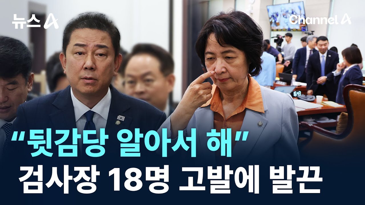 검사장 18명 고발에 &ldquo;뒷감당 알아서 해&rdquo;&hellip;김병기 발끈 / 채널A / 뉴스A