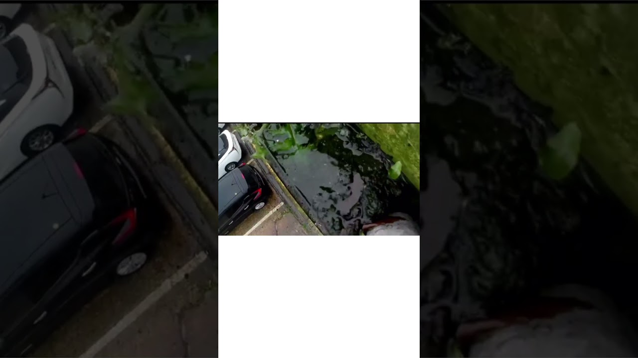 Commercial unit gutter clearing 