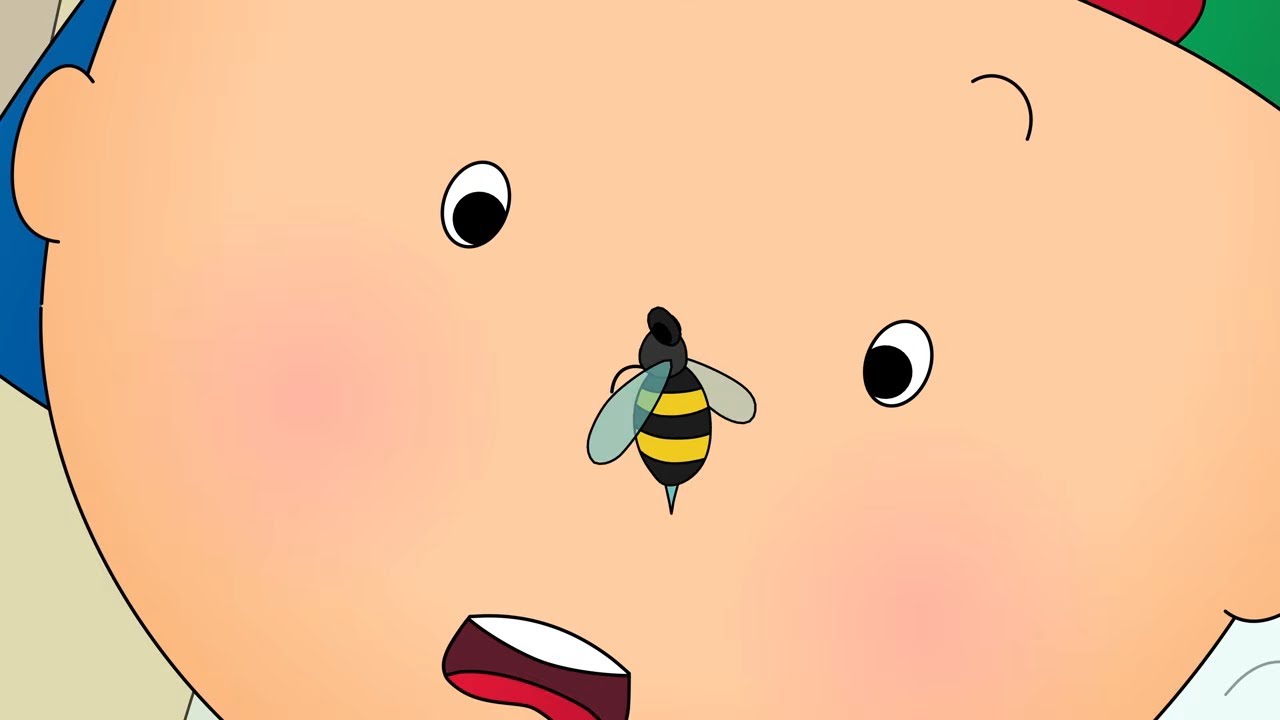 There is a bee! | Caillou - WildBrain | Learning for Children