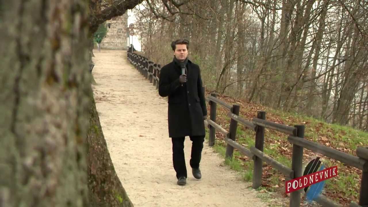 Poldnevnik / 11