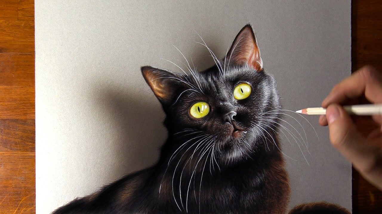 Black Cat Drawing - Time Lapse (Long Version)