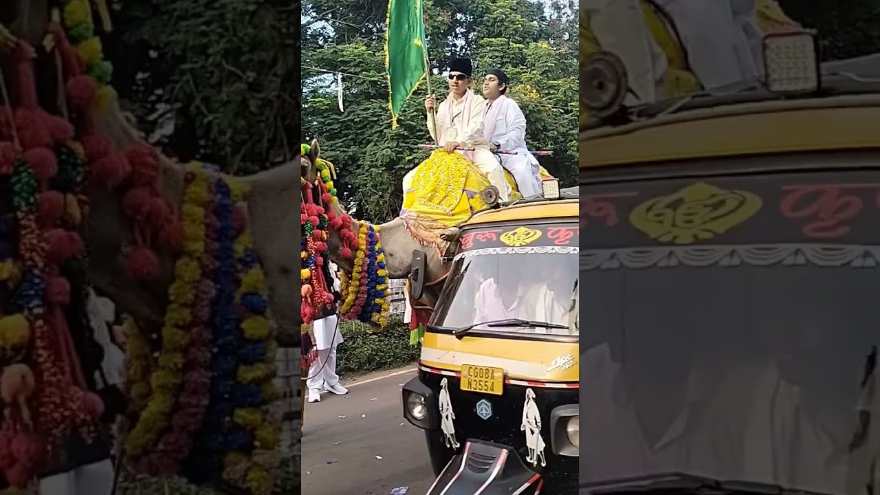 #eidmiladunnabi #eid #bhilai #bhilainews #shorts #viral #eidmubarak #eidspecial #muhammad #islam