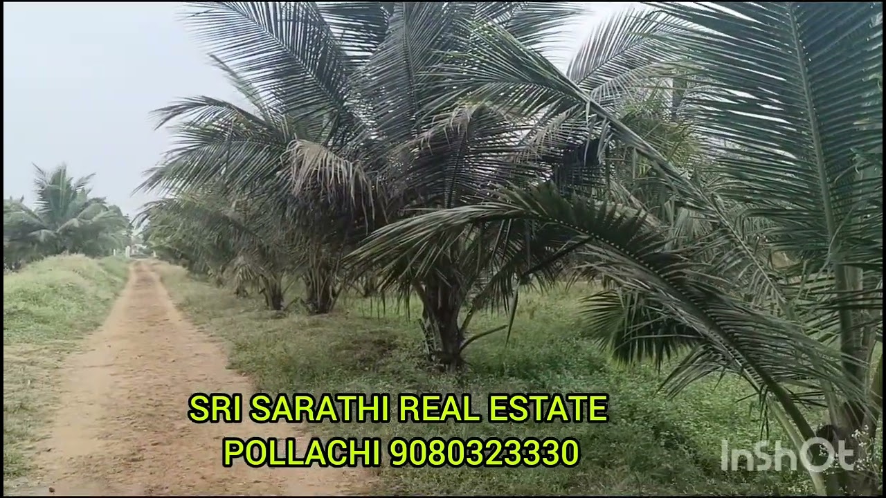 104)ஏழு ஏக்கர் தென்னை தேனூர் புதூர் ஏரியா