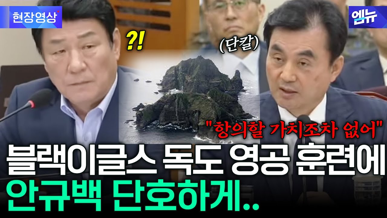 블랙이글스 독도 영공 훈련에 일본 반발하자 안규백 단호하게...