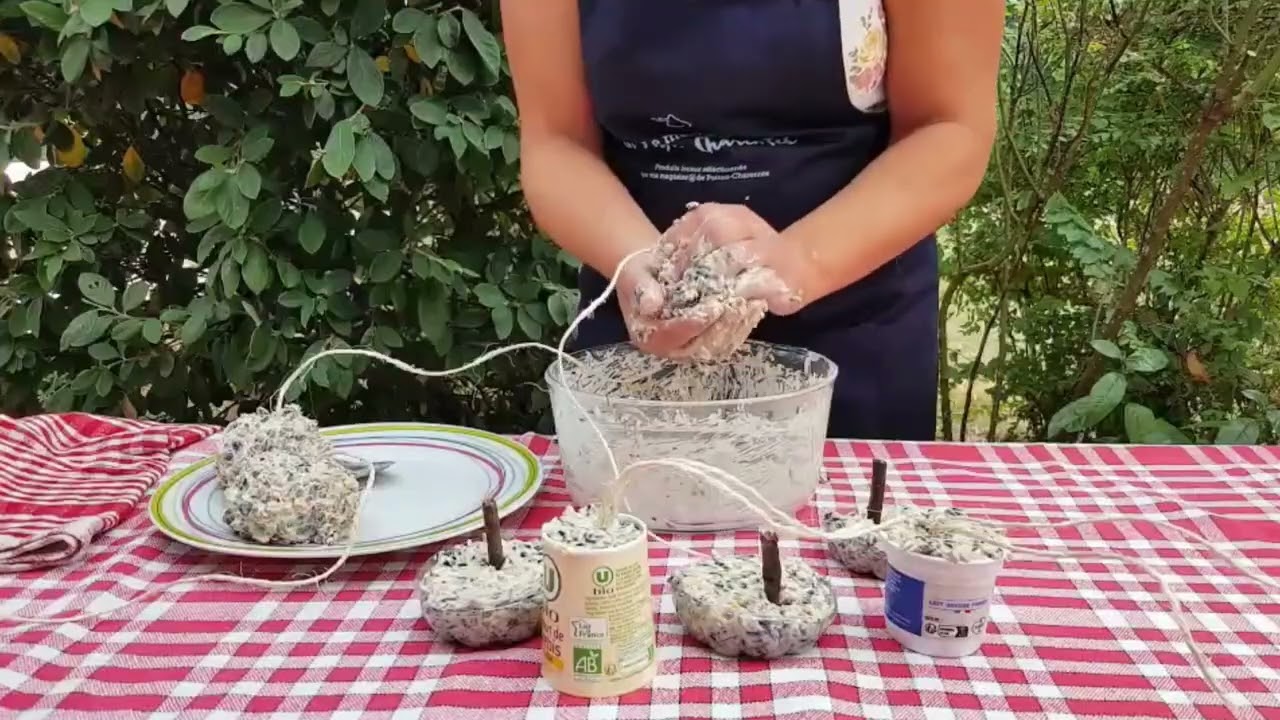 TUTO BOULE DE GRAISSE MAISON POUR LES OISEAUX
