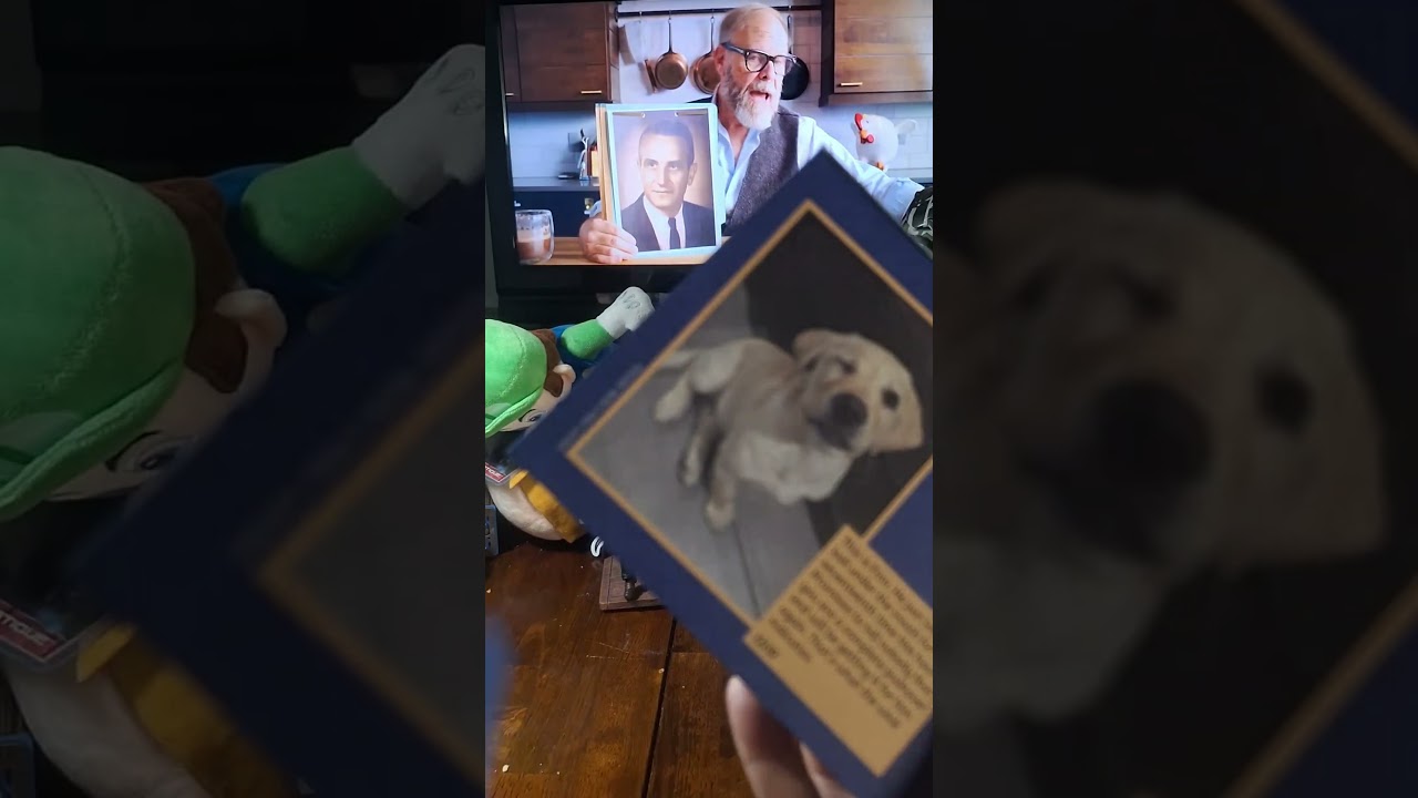 #weratedogs