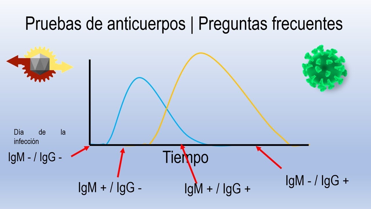 SARS-CoV-2 | Pruebas de anticuerpos (IgM/IgG) | Preguntas frecuentes