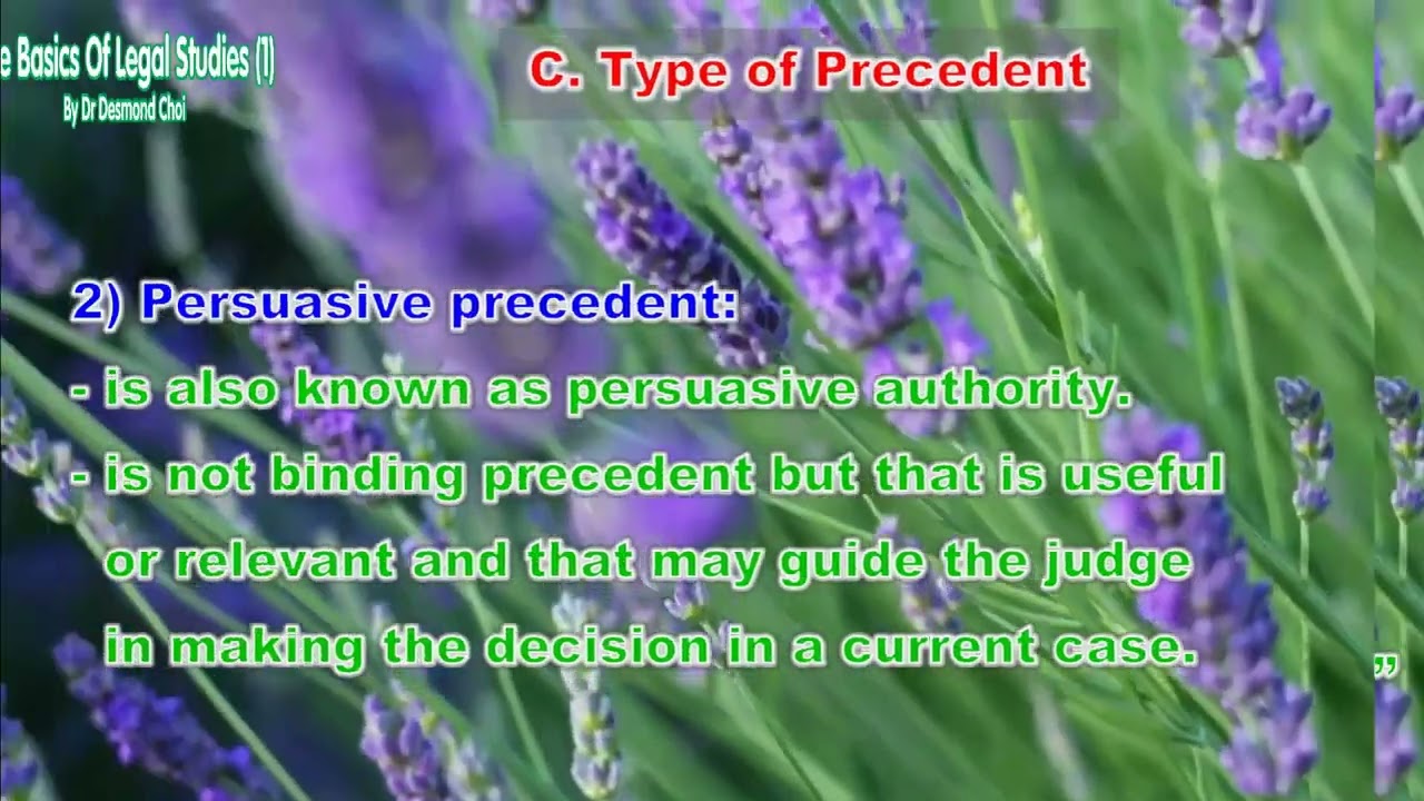 2.1 Judicial Precedent (Case Law)