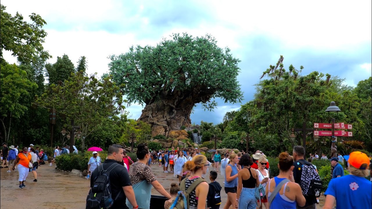 A Rainy & Busy Walk Around Disney's Animal Kingdom in 4K | Walt Disney World Florida July 2021