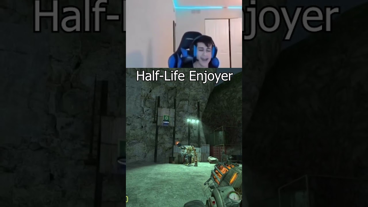 Enjoyer Vs Speedrunner #shorts #halflife2 #speedrun