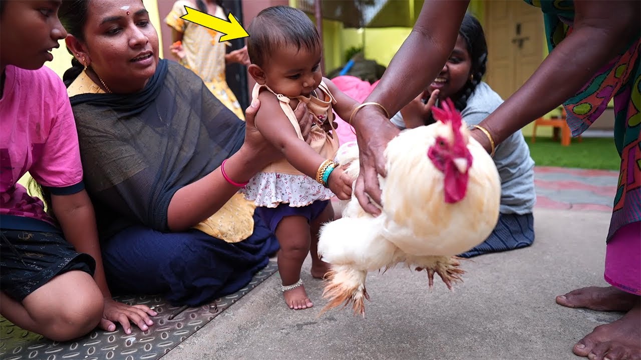 Ammu's Reaction | அம்மு 1st Time கோழியை பார்த்து செஞ்சது பார்த்து ஷாக் ஆயிட்டோம்..