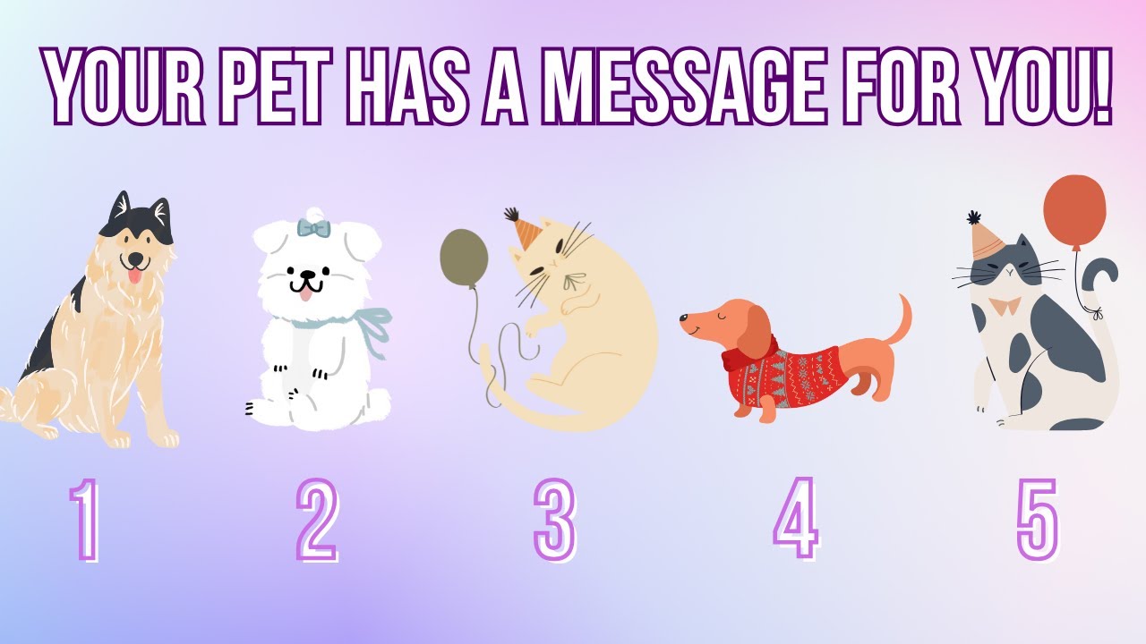 Message from your Pet 🐶 Pick a Card Reading 🐶