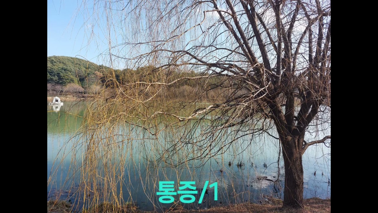 통증(현성김수호)