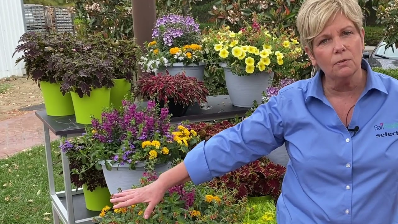 New Season Extenders for 2022 from Ball FloraPlant