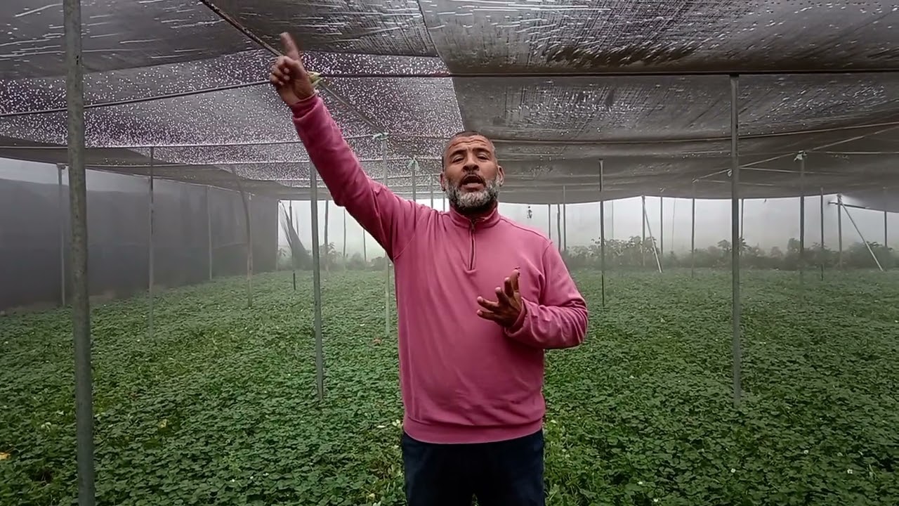 اعرف موصفات المشتل الجيد