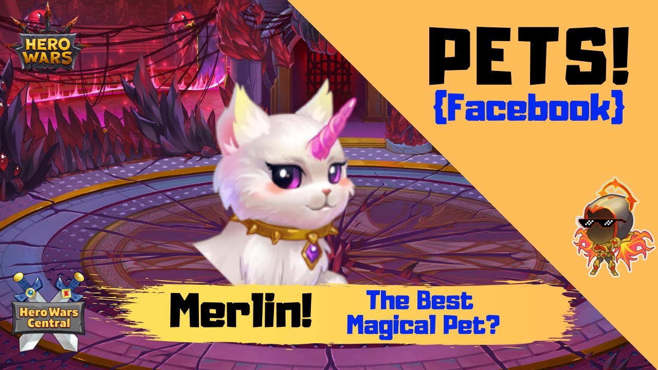 Hero Wars | The Best Pet for Magic Teams! Merlin!