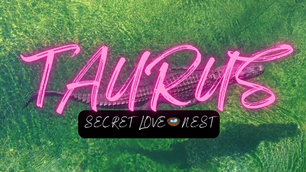 TAURUS ♉️| … couldn’t “STOP 🫵 YOU” even if they tried 🕳️⏰🐊.