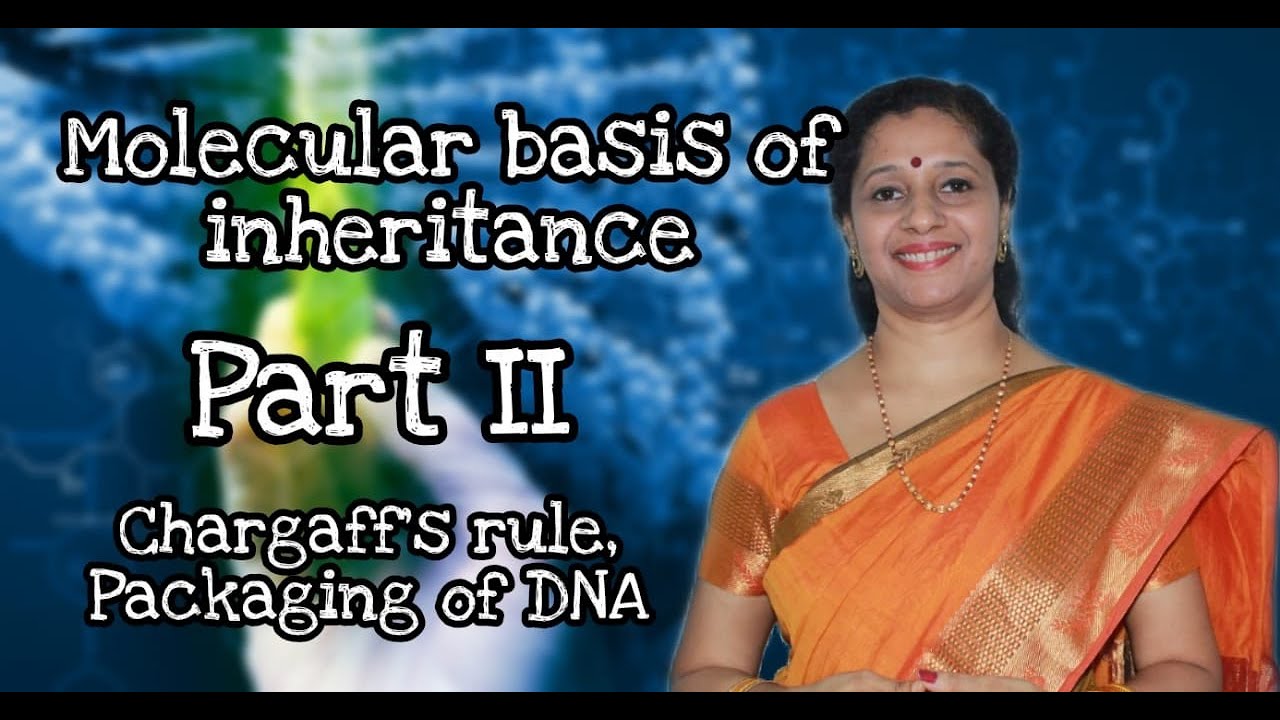 NEET :Molecular Basis of Inheritance Part 2: Chargaff's rule, DNA packaging