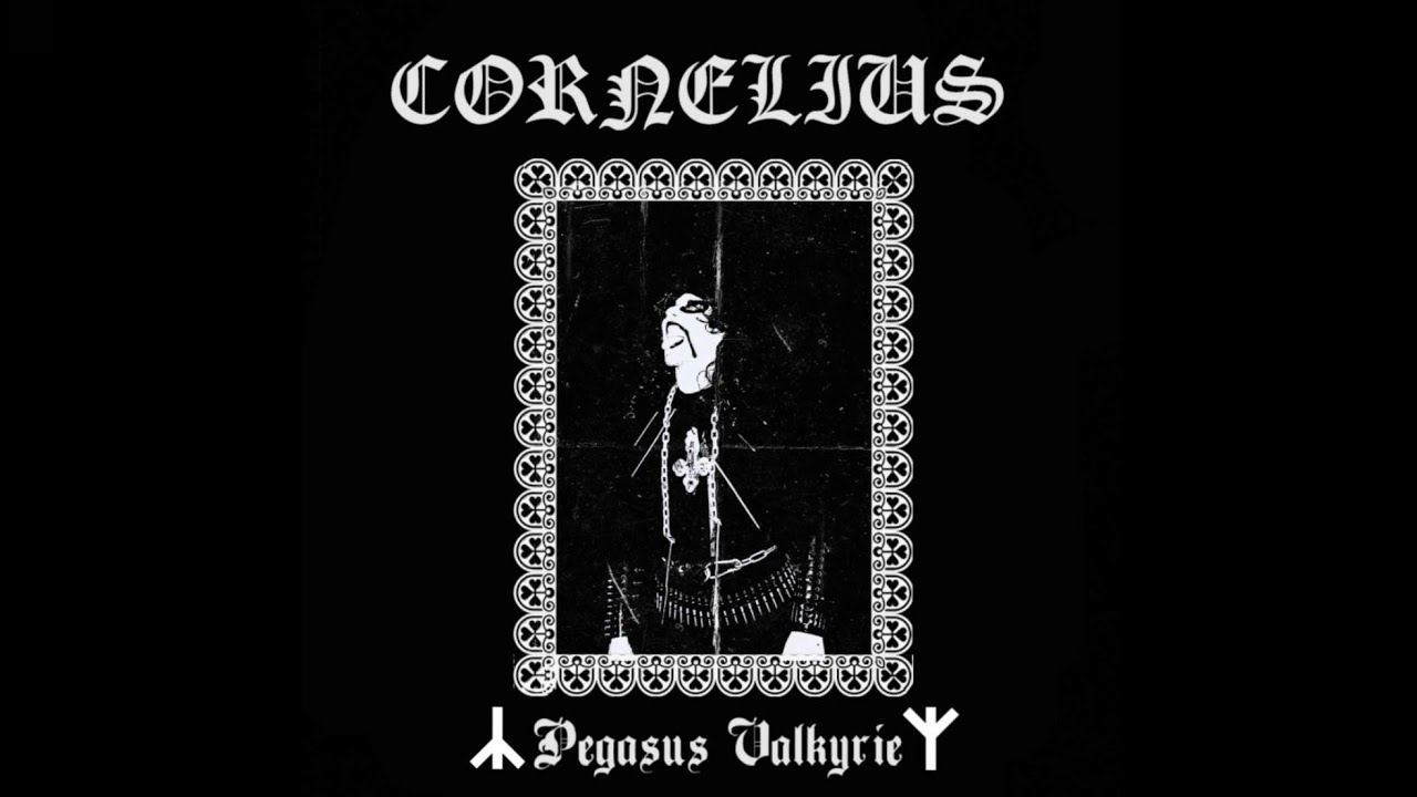 Cornelius ~ Pegasus Valkyrie