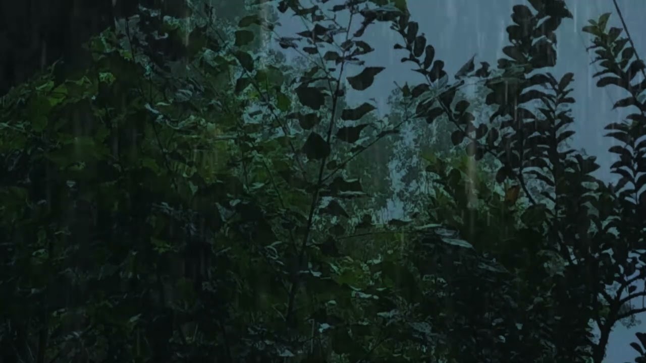 Heavy Rain Sounds For Sleeping