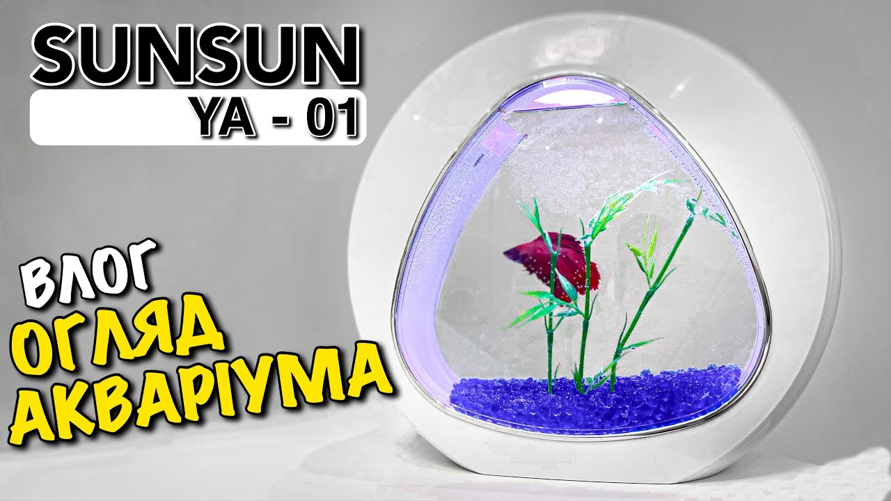 БІЛИЙ АКВАРІУМ SUNSUN YA 01 | ОГЛЯД НАШОГО НОВОГО АКВАРІУМА ДЛЯ ПІВНИКА | СТИЛЬНИЙ АКВАРІУМ | VLOG