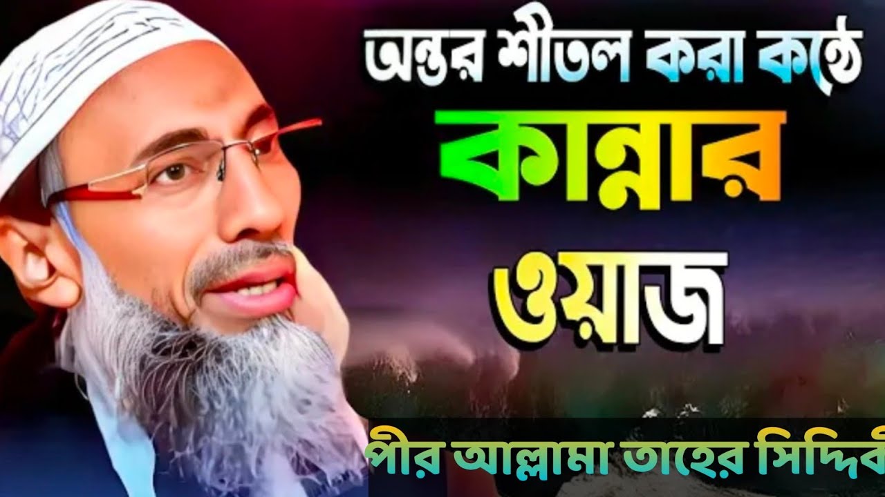 পীর আল্লামা তায়েফ সিদ্দিক চাচা জান#পীরজাদা আব্বাস সিদ্দিকী ভাইজান#lifeisbutadream #du#voiceeffects 