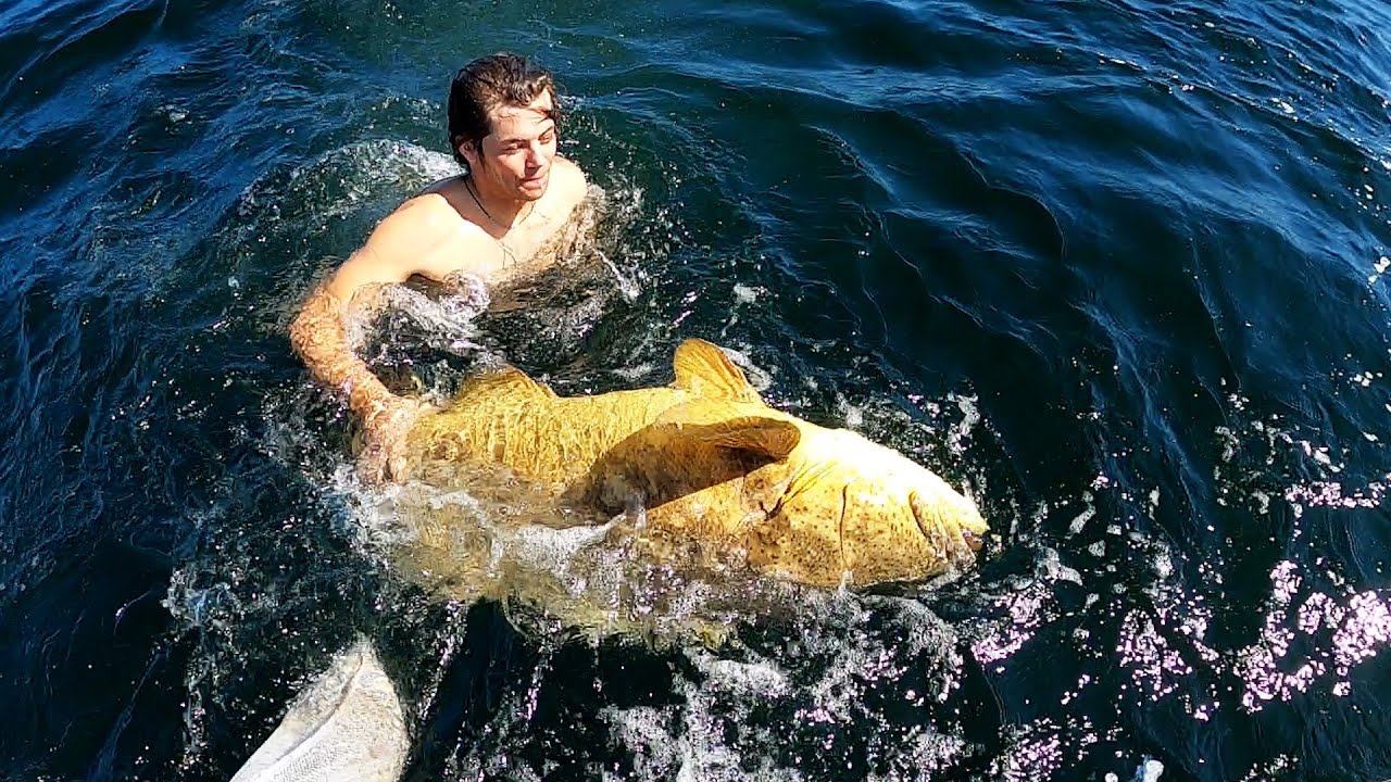 INVASIVE ASIAN MUSCLES IN Florida With fresh Sashimi Catch Clean and Cook
