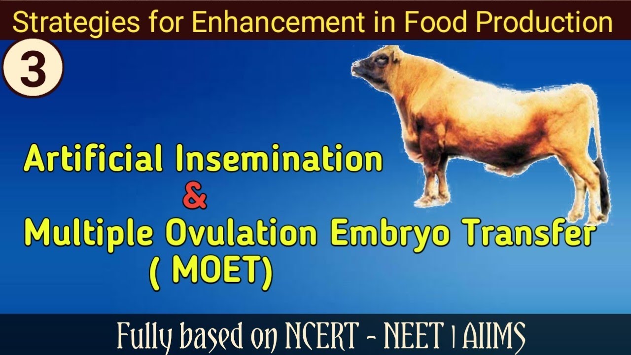 Multiple Ovulation Embryo Transfer - Class 12 NEET BIOLOGY