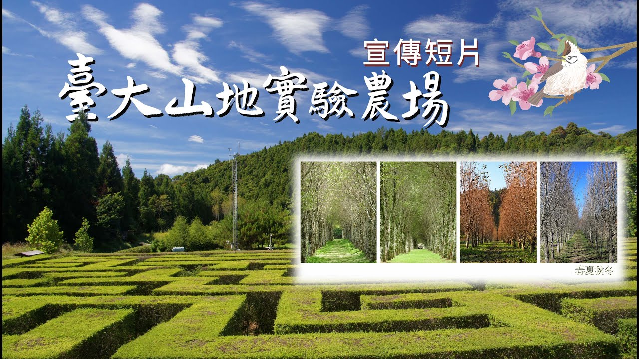 臺大山地農場【梅峰】宣傳短片