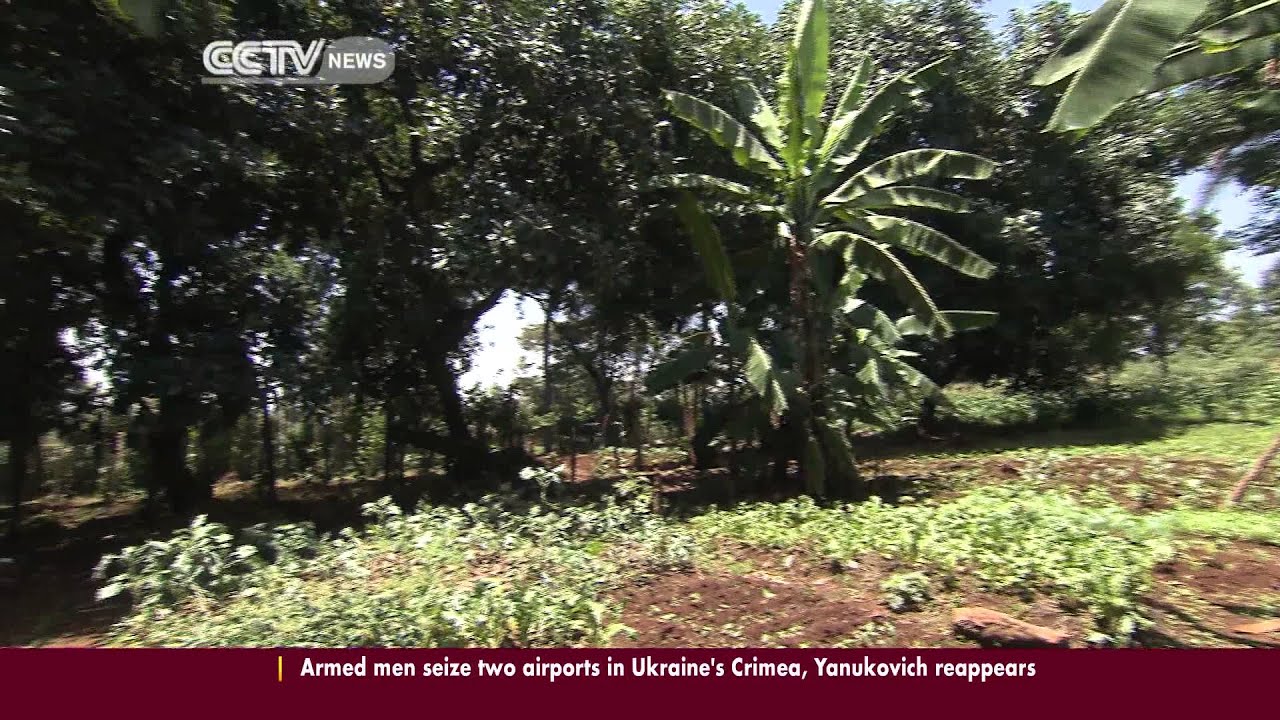 Intensive Agriculture and Agro-forestry in Kenya