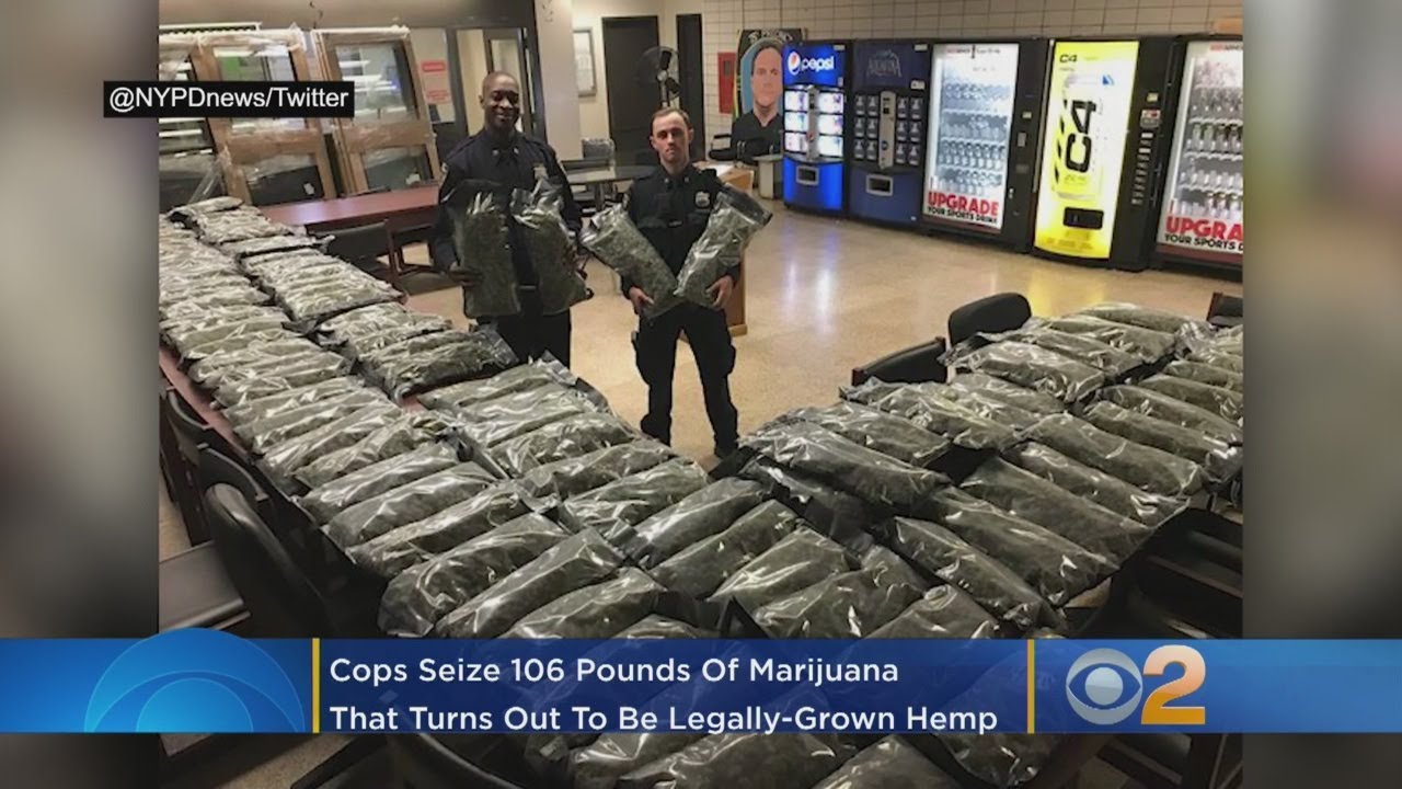 Cops Seize 106 Pounds Of Marijuana&hellip; But Turns Out It Wasn&rsquo;t Marijuana After All