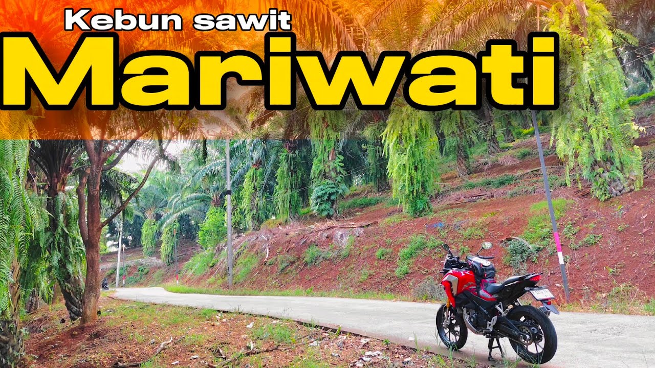 Motoran CIKARANG-CIBODAS Via Mariwati | Cianjur Punya Kelapa Sawit