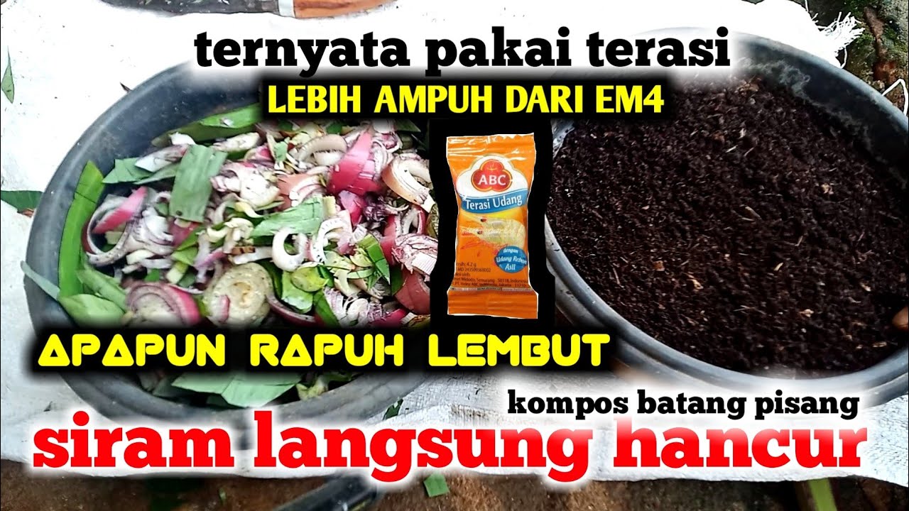 mudah Modal terasi saja bisa buat kompos 1 ton dengan mudah langsung lembut seperti ditoko onlen