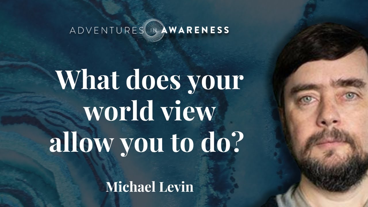 Michael Levin: A challenge for materialism: emergence is very limited