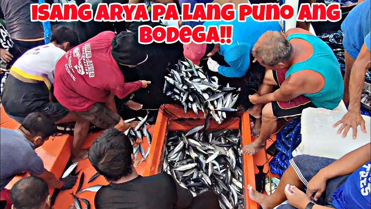 Nasapol namin ang isang malaking grupo ng galunggong sa pacific ocean