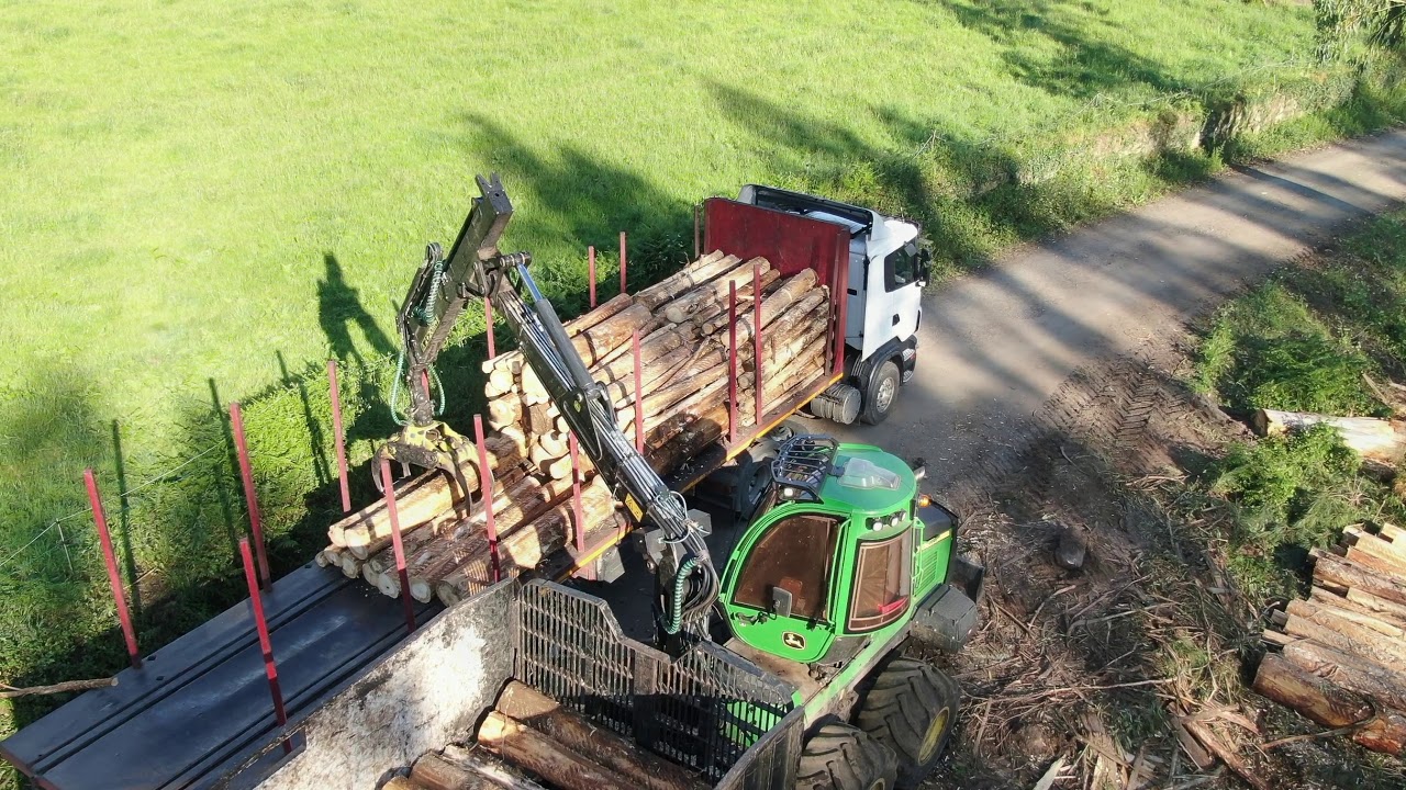 MADERAS PUMARES (PUMA)