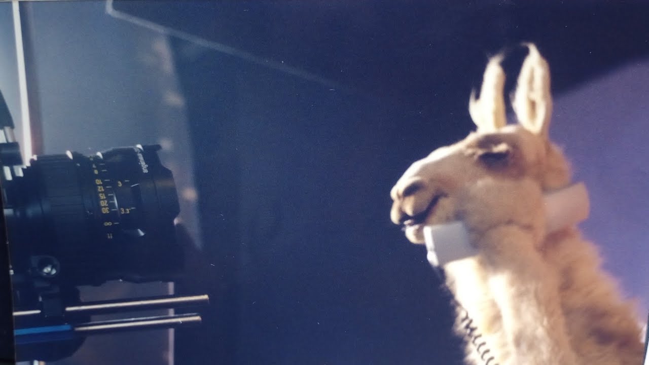 Making of LA LLAMA QUE LLAMA 1998-2001 Telecom ELCARIMAT FX Christian Gruaz