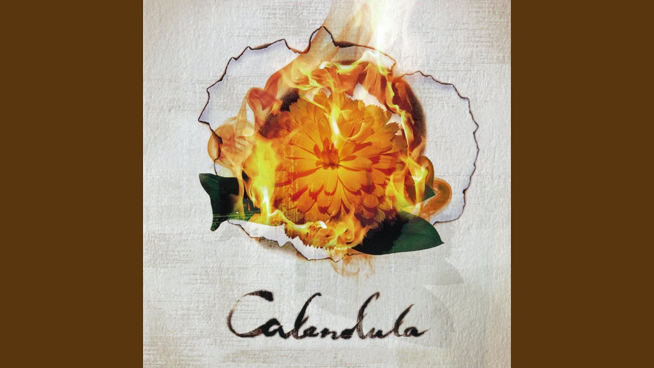 Black Philosophy Bomb (Calendula Version)