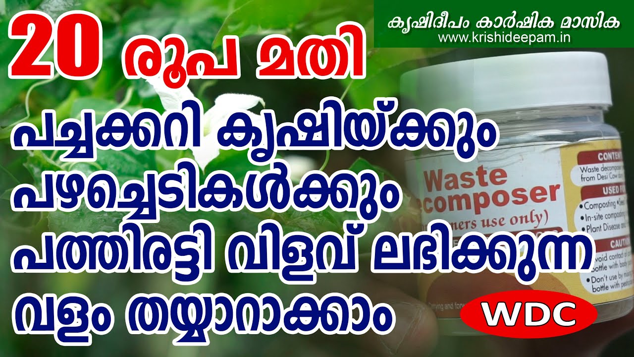20 രൂപ മതി   പച്ചക്കറി കൃഷിക്കും പഴച്ചെടികൾക്കും  പത്തിരട്ടി വിളവ് ലഭിക്കുന്ന വളം | Waste Decomposer