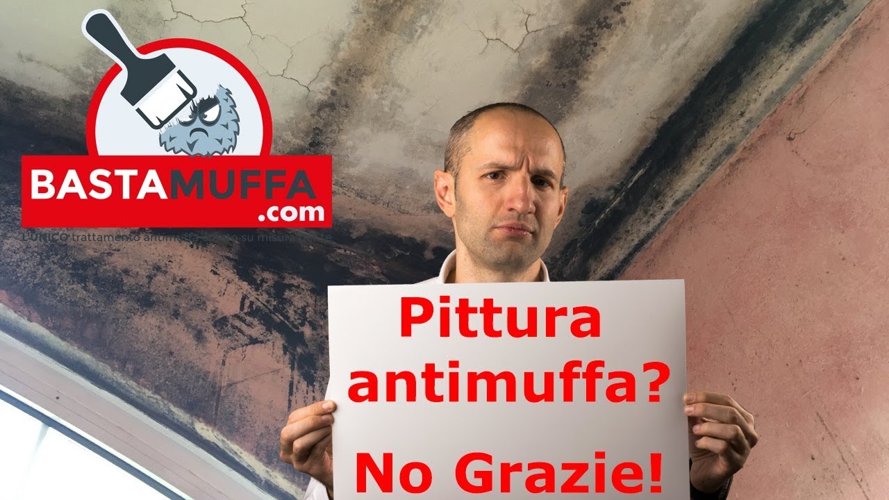 Quale pittura scegliere contro la muffa? L'antimuffa, NO!