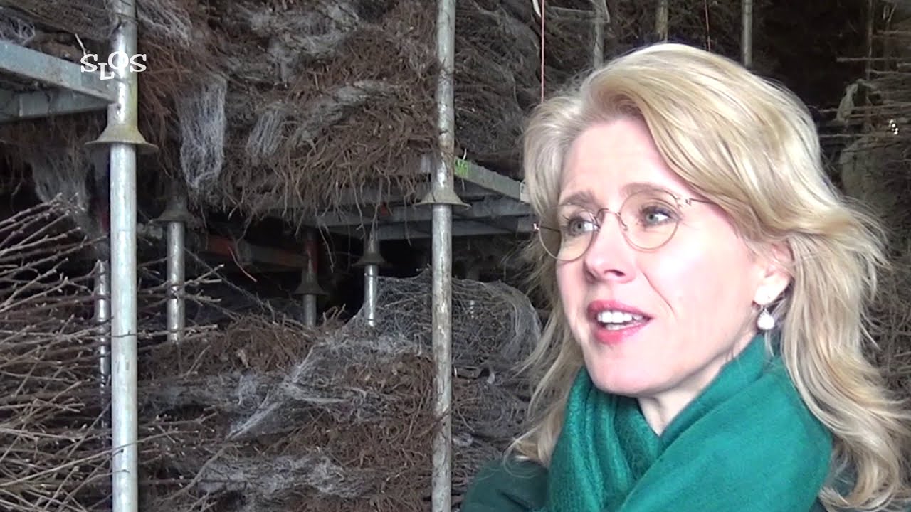 11 maart 2021 Bezoek  Mona Keijzer aan Verbeek Boomkwekerijen B.V.